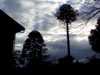 Amanecer en Pto. Varas